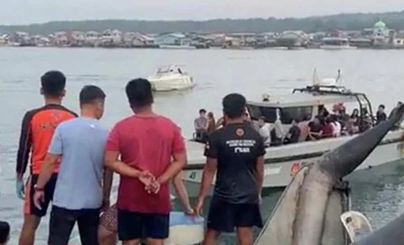 WhatsApp Image 2026-02-11 at 08.15.36.jpeg