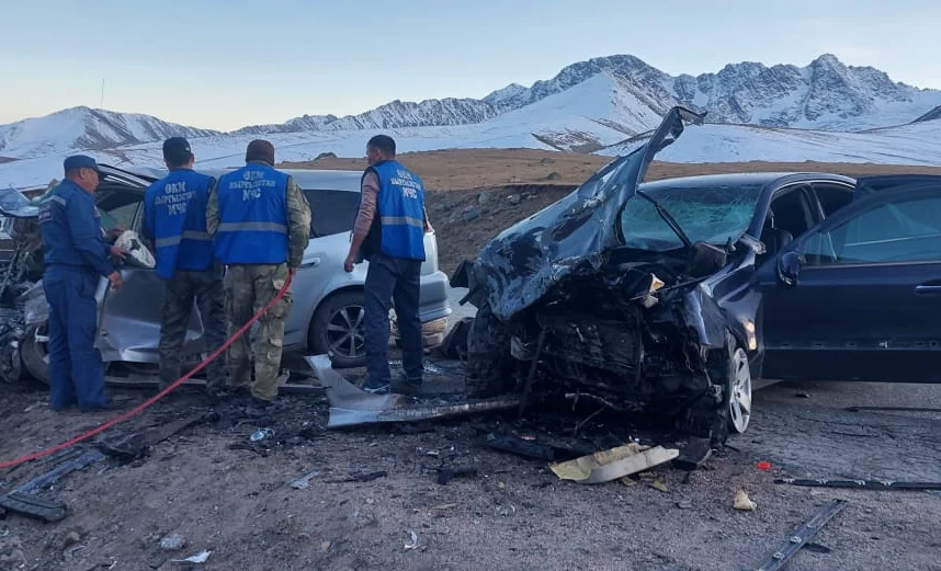 WhatsApp Image 2026-02-06 at 17.26.45.jpeg