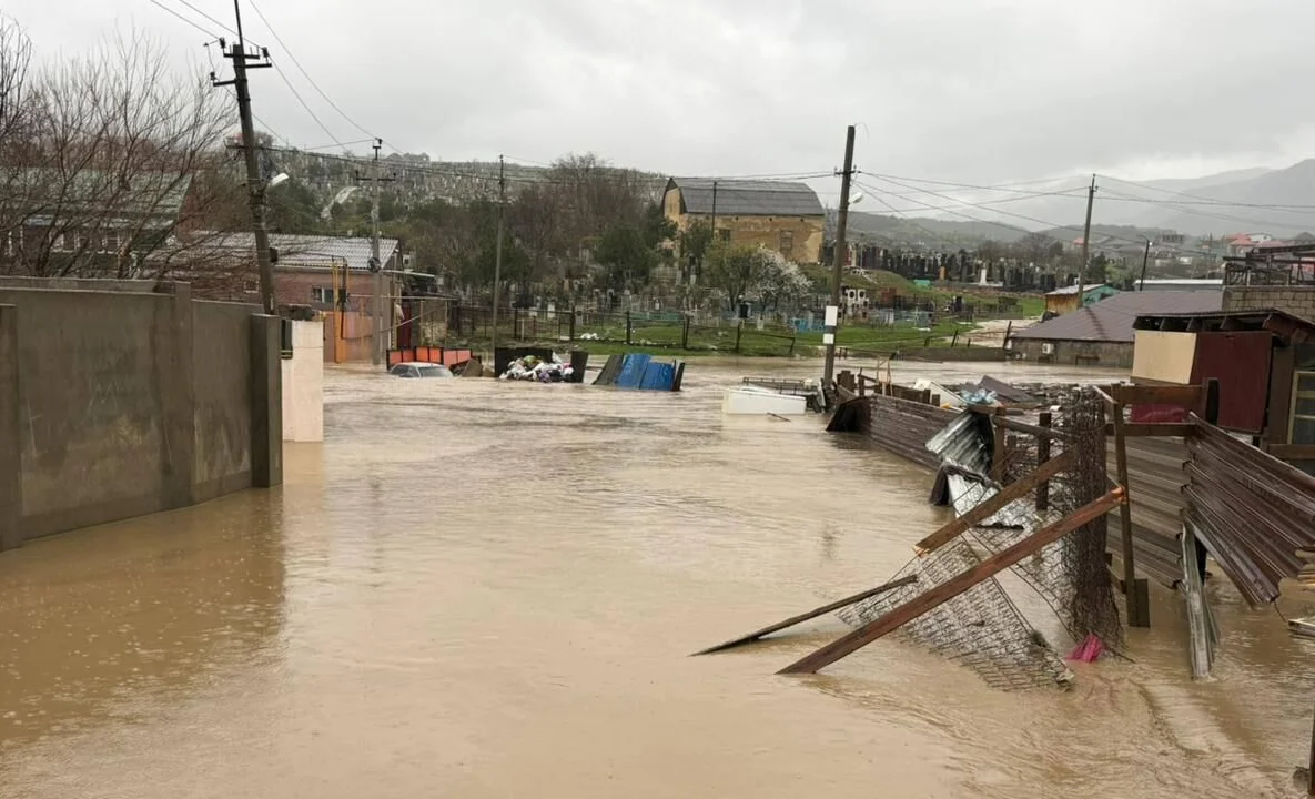 WhatsApp Image 2026-03-30 at 10.48.44.jpeg