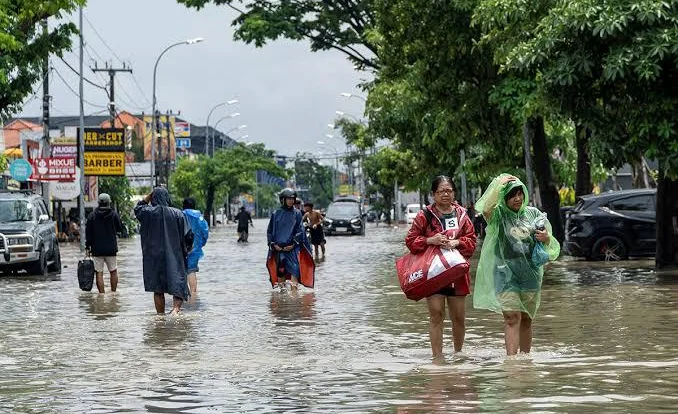 WhatsApp Image 2026-02-25 at 06.56.05.jpeg