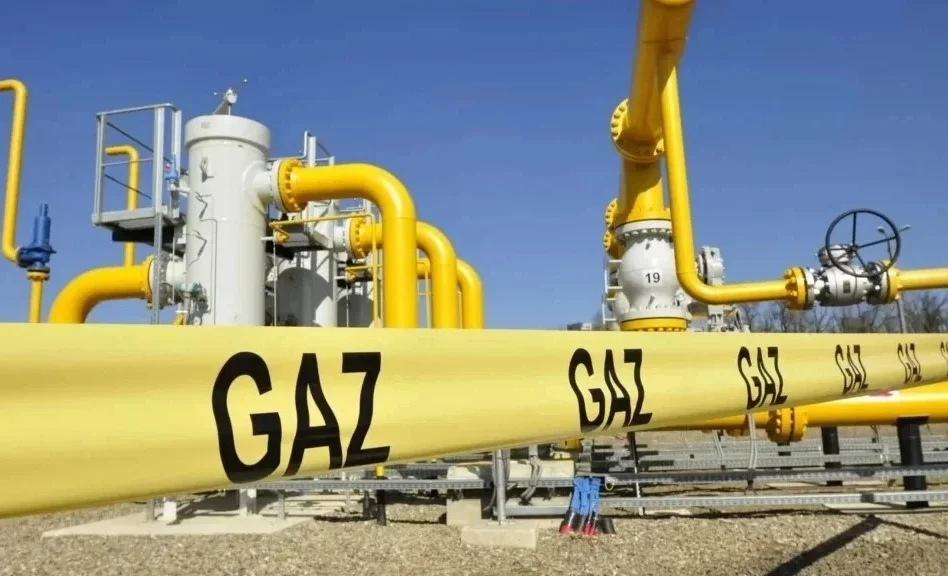 WhatsApp Image 2026-03-03 at 09.43.40.jpeg