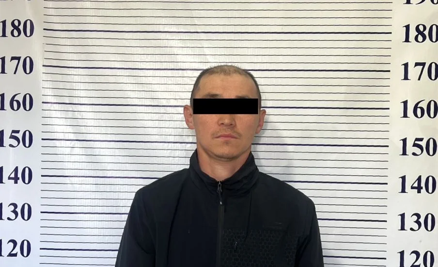 WhatsApp Image 2026-04-06 at 12.51.55.jpeg