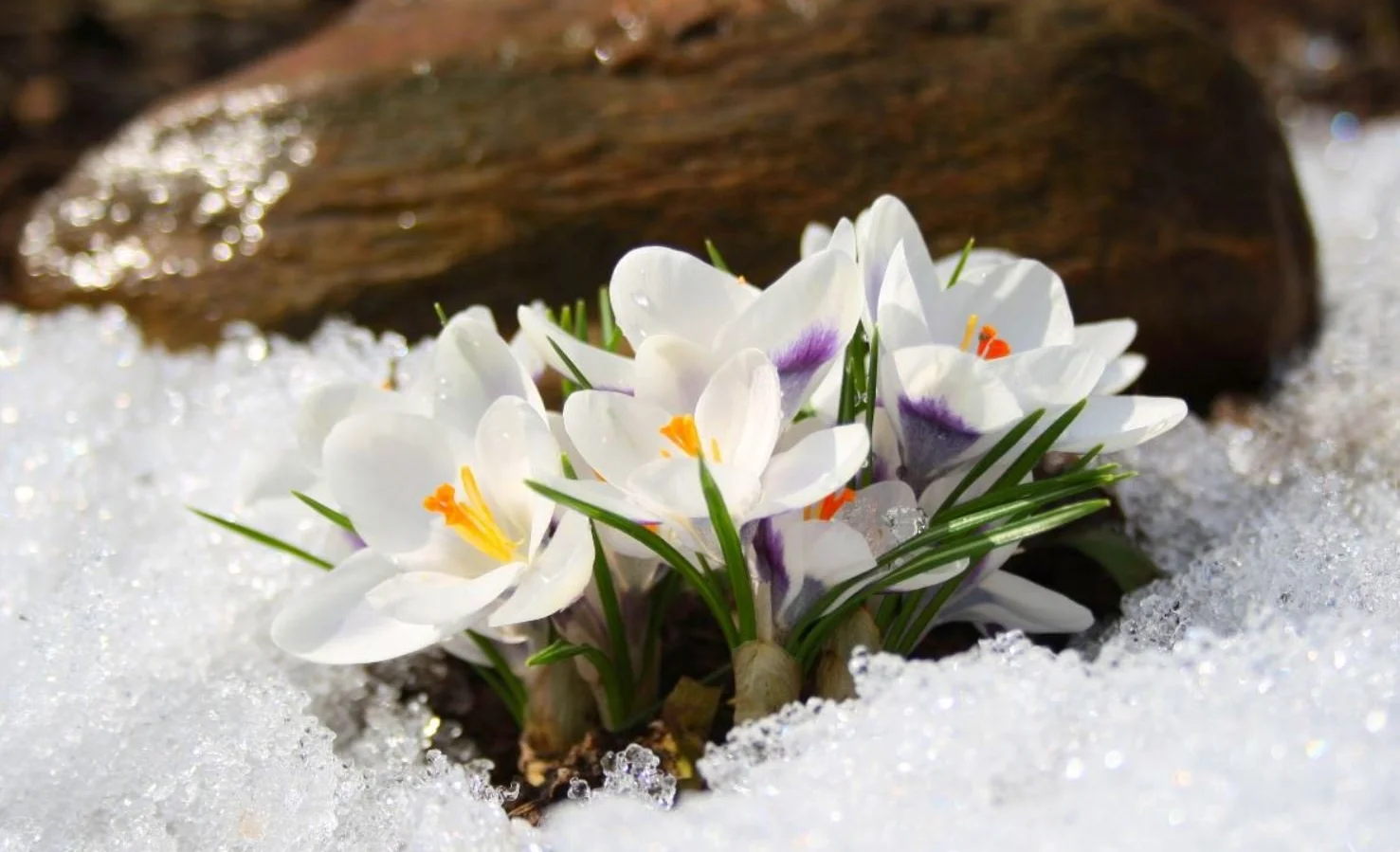 WhatsApp Image 2026-01-28 at 15.19.06.jpeg