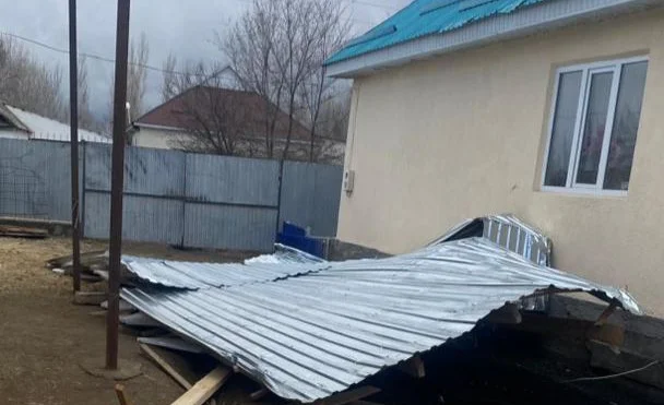 WhatsApp Image 2026-02-21 at 16.52.52.jpeg