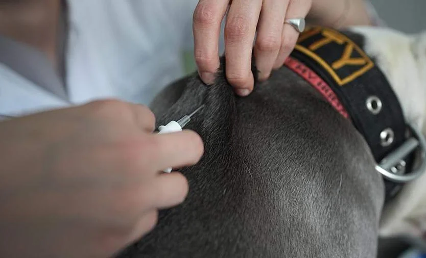 WhatsApp Image 2026-04-08 at 09.10.06.jpeg