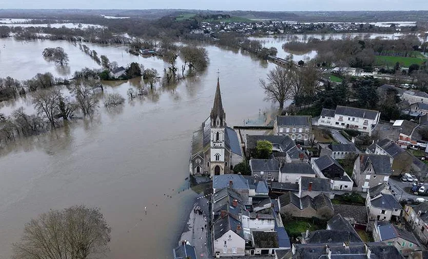 WhatsApp Image 2026-02-18 at 08.06.28.jpeg