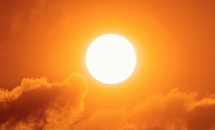 WhatsApp Image 2026-02-13 at 16.16.37.jpeg