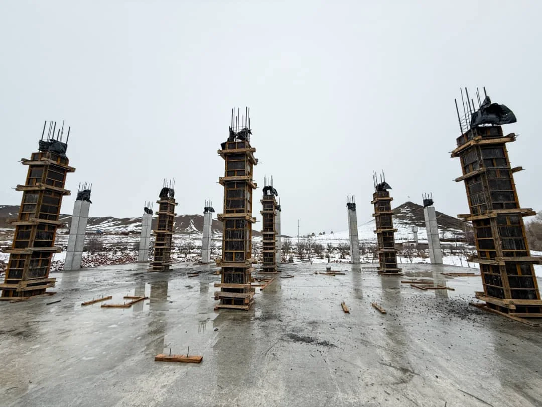 {{ item.title }}