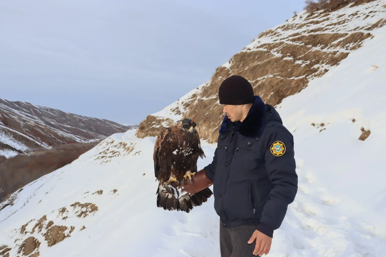 {{ item.title }}