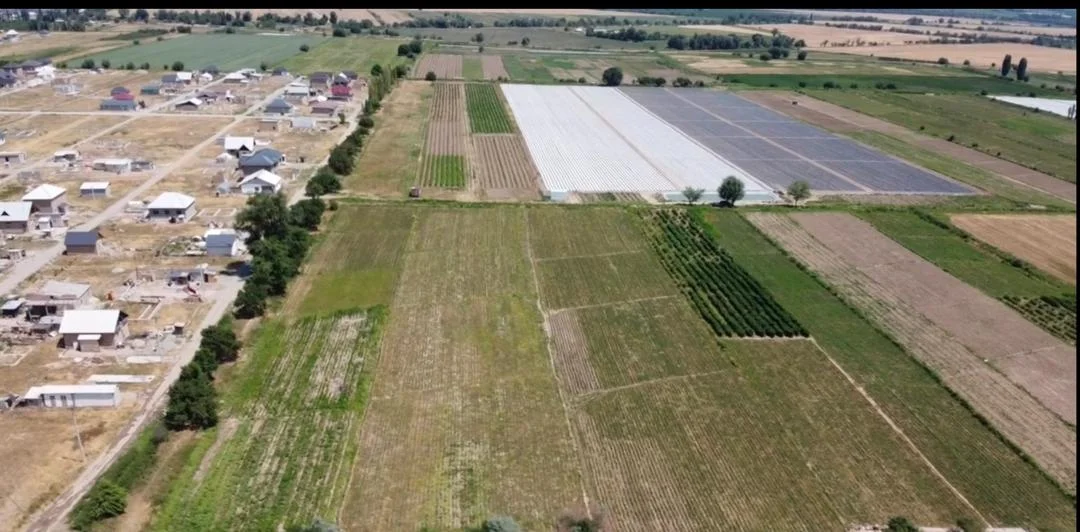 {{ item.title }}
