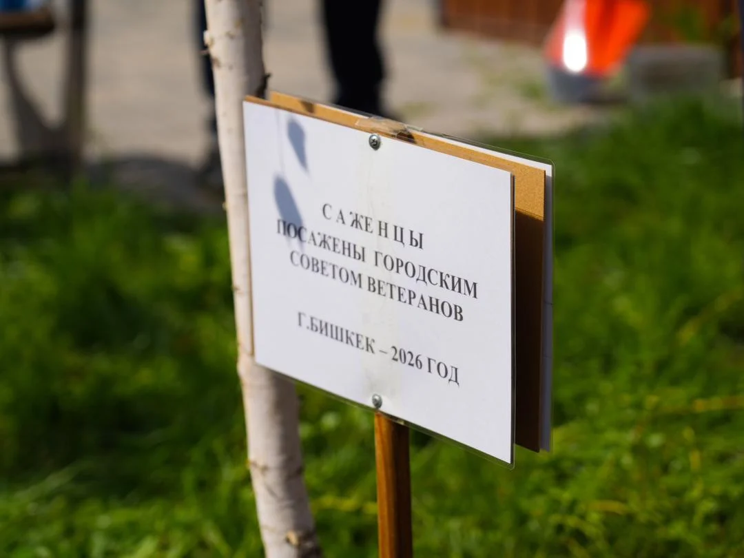 {{ item.title }}