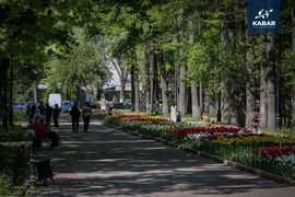 WhatsApp_Image_uwm8Qzp.max-2560x1440.format-webp.jpegquality-90.webp