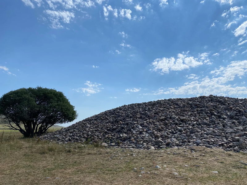 WhatsApp_Image_wumbA3n.max-2560x1440.format-webp.jpegquality-90.webp