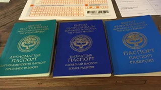 дип_паспорт.jpg