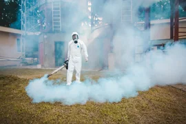 fumigaciya (1).jpg