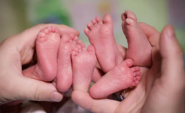 istockphoto-8700346.2e16d0ba.format-webp.fill-1668x1014.webp