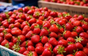 klubnika-1.max-320x180.format-webp.webp