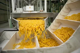macaron_pasta_factory_industry1732172493.jpg