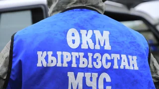 mchs-2.jpg
