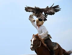 photo_52065454.max-2560x1440.format-webp.jpegquality-90.webp