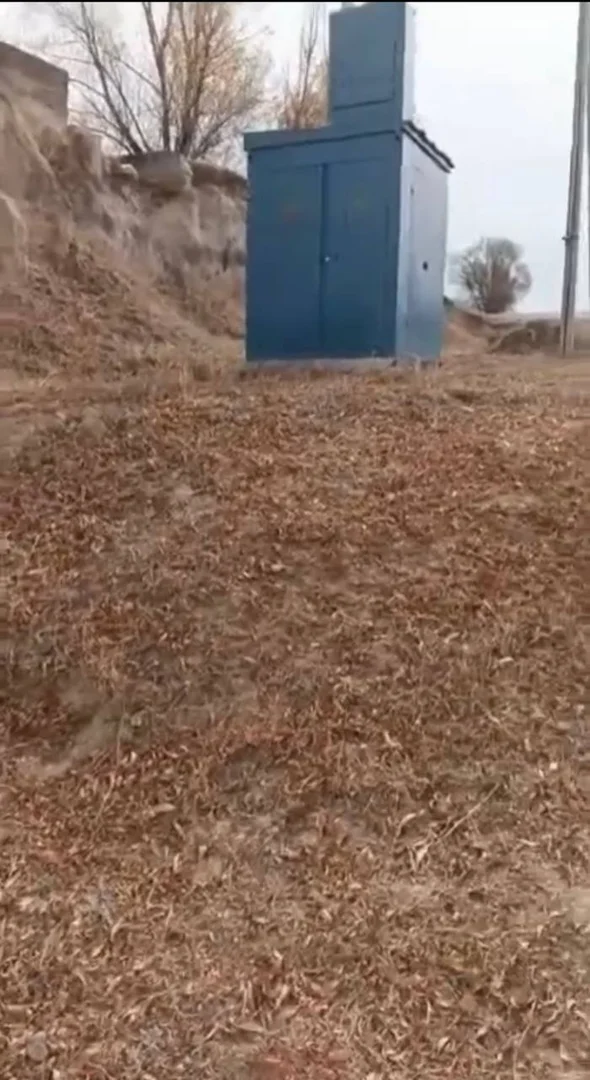 {{item.title }}