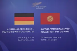 photo_5294088006468237618_y 1.png