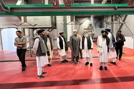 photo_5294088006468237729_y 1.png