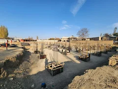 whatsappimage20251030at1136261-6016902faa0a17918.60726666 (1).jpg